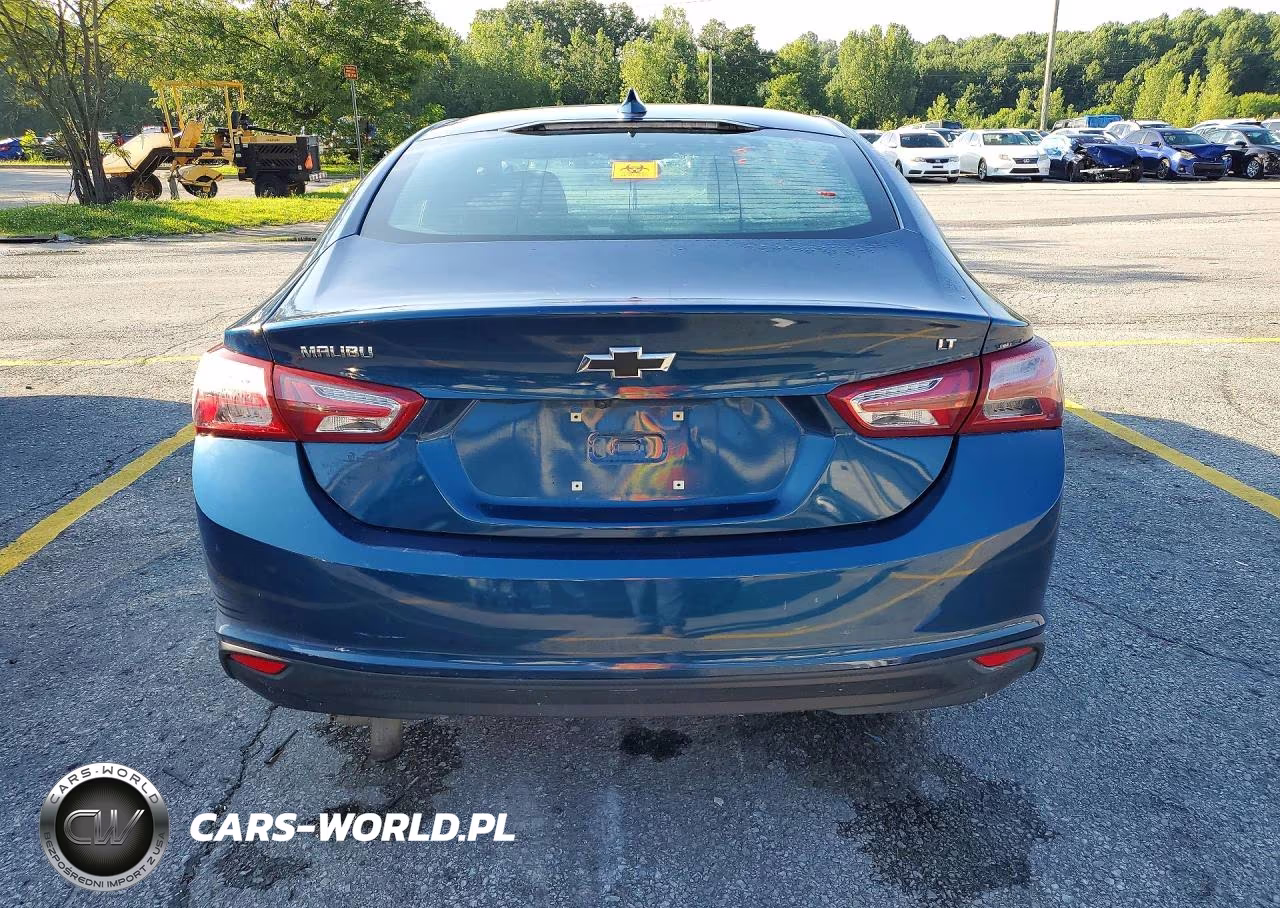 2019 Chevrolet Malibu Lt VIN:1G1ZD5ST7KF199217 - 6