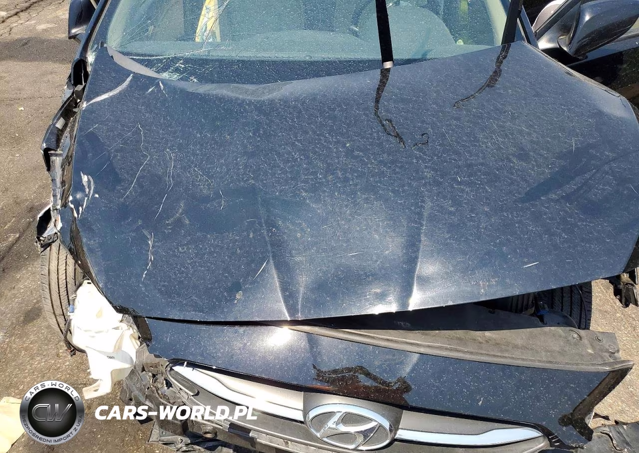 2015 Hyundai Accent Gls VIN:KMHCT4AE4FU922841 - 11