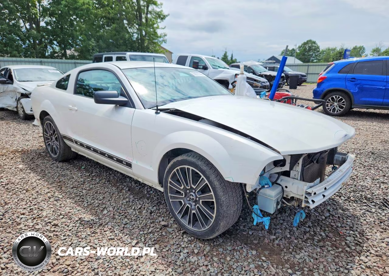 2007 Ford Mustang VIN:1ZVHT80N075258145 - 4