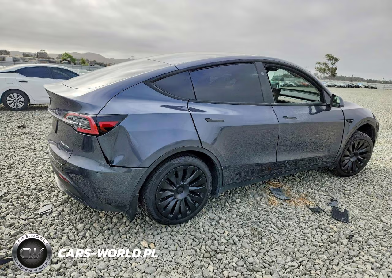 2023 Tesla Model Y VIN:7SAYGDEE6PF791983 - 3