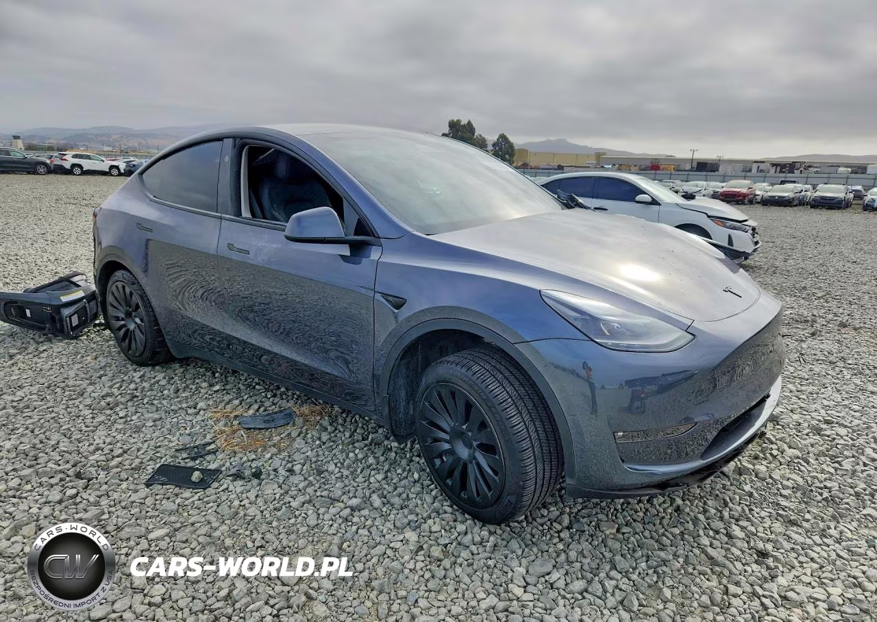 2023 Tesla Model Y VIN:7SAYGDEE6PF791983 - 4