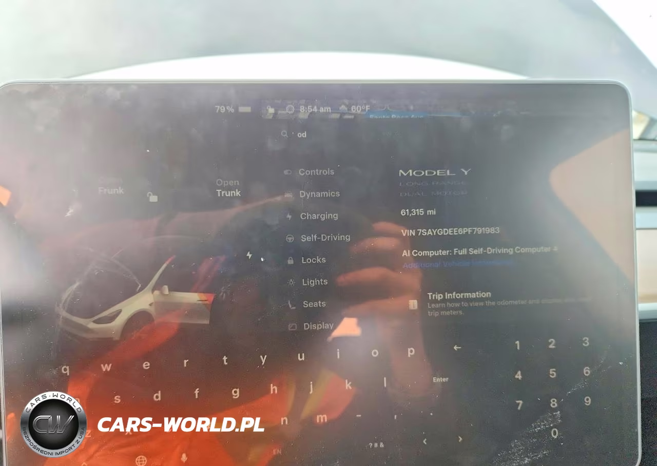 2023 Tesla Model Y VIN:7SAYGDEE6PF791983 - 9