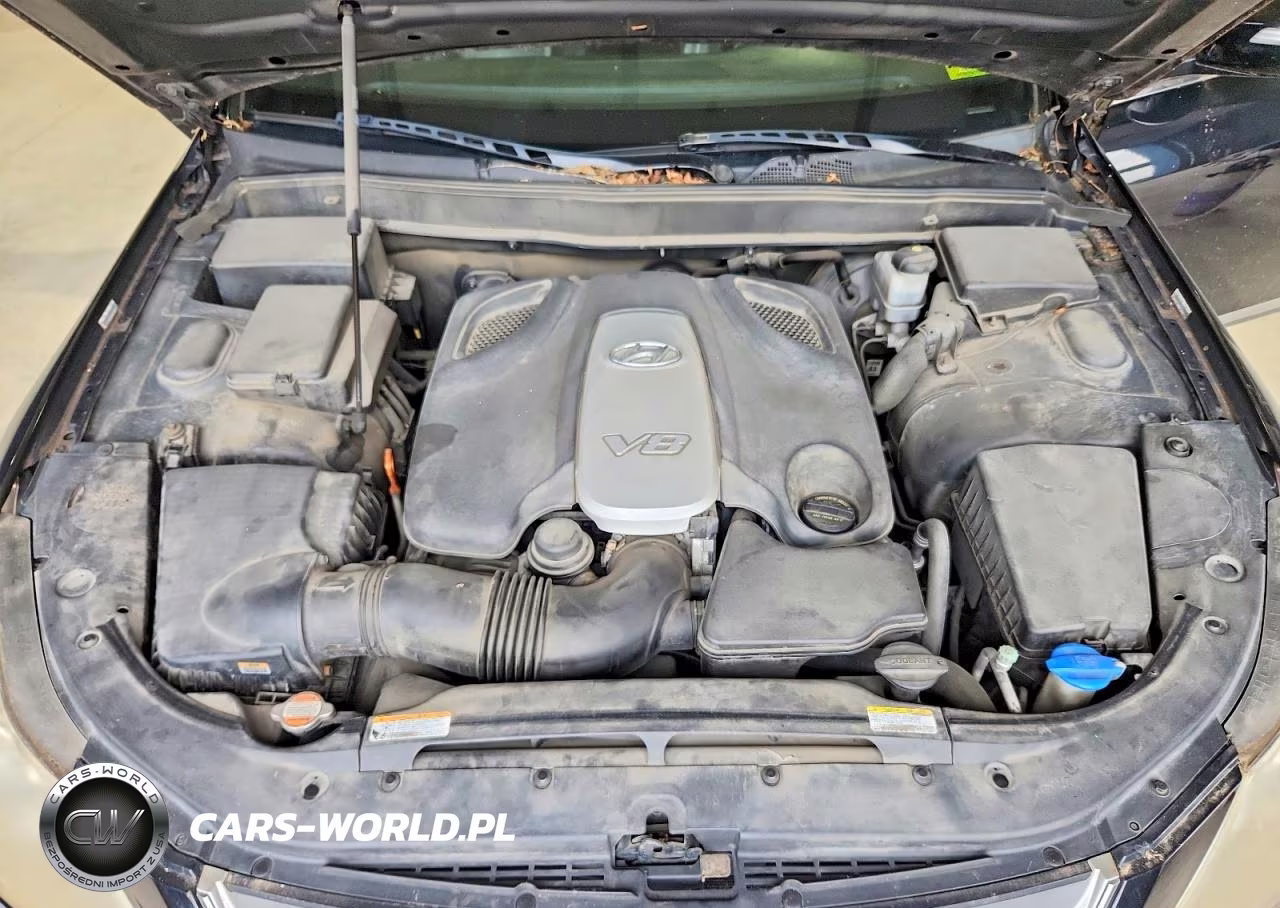 2009 Hyundai Genesis 4.6L VIN:KMHGC46F89U032110 - 11