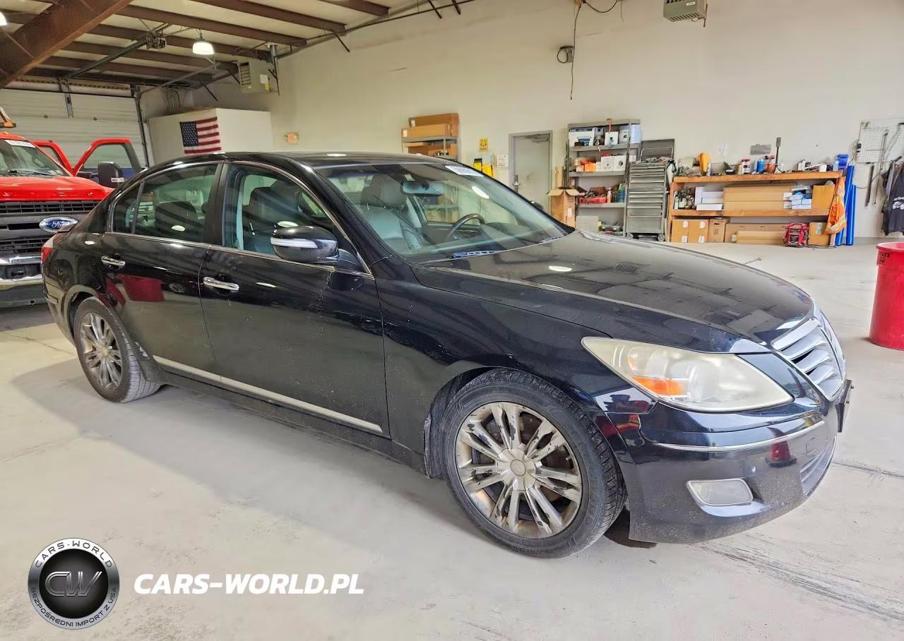 2009 Hyundai Genesis 4.6L VIN:KMHGC46F89U032110 - 4