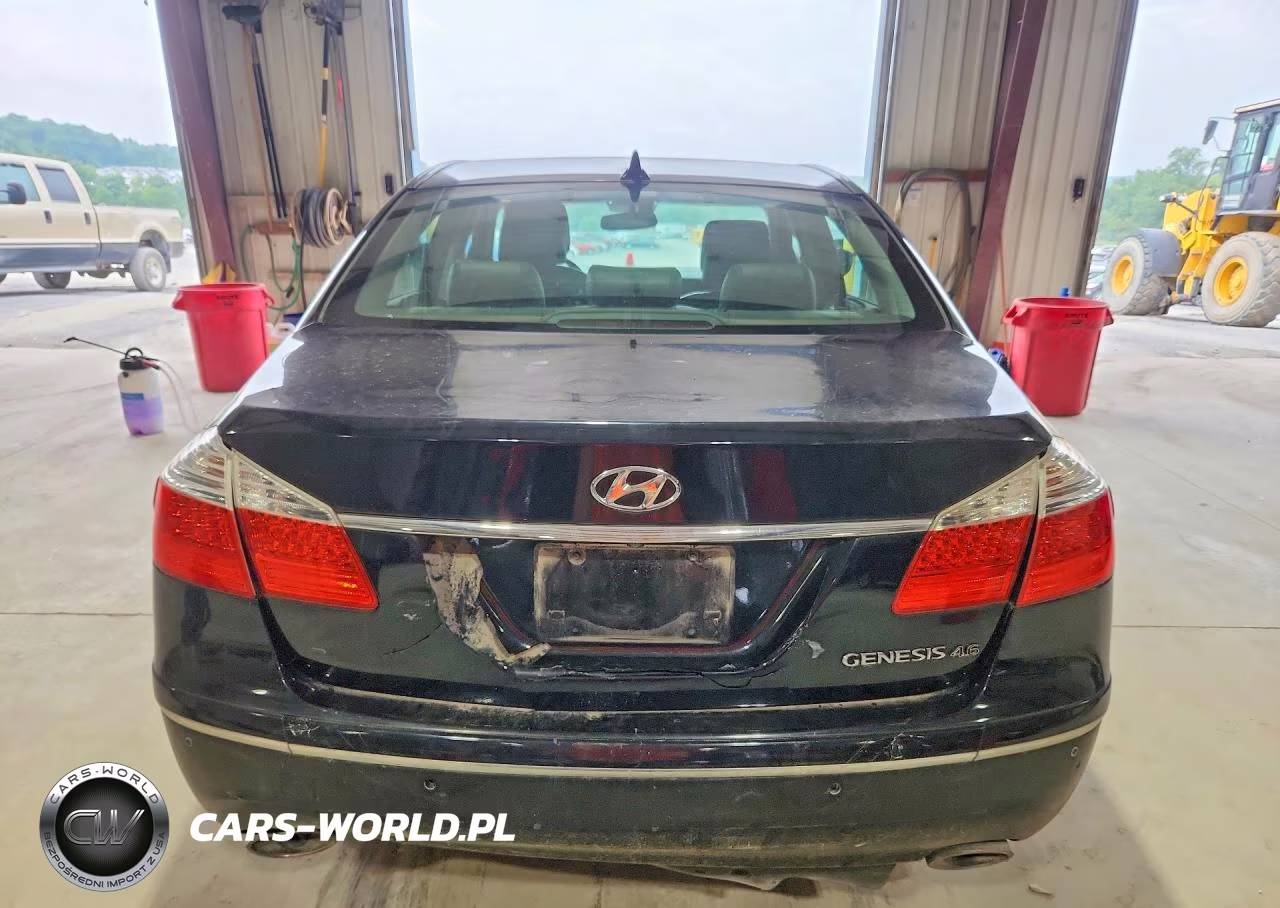 2009 Hyundai Genesis 4.6L VIN:KMHGC46F89U032110 - 6