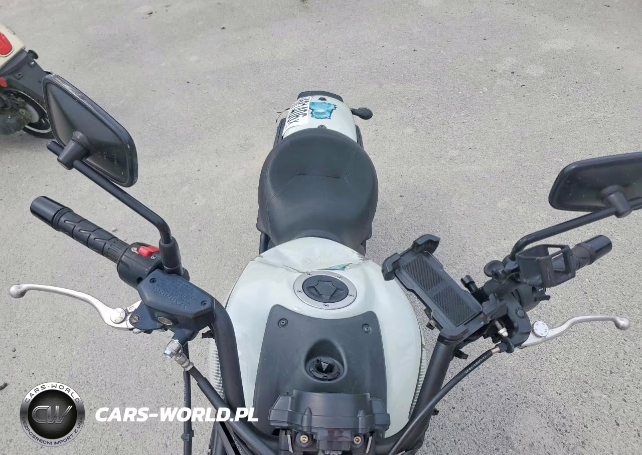 2022 Kawasaki En650 C VIN:JKAENEC10NDA04247 - 5