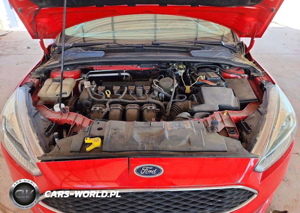 2015 Ford Focus Se VIN:1FADP3K22FL209623 - 11