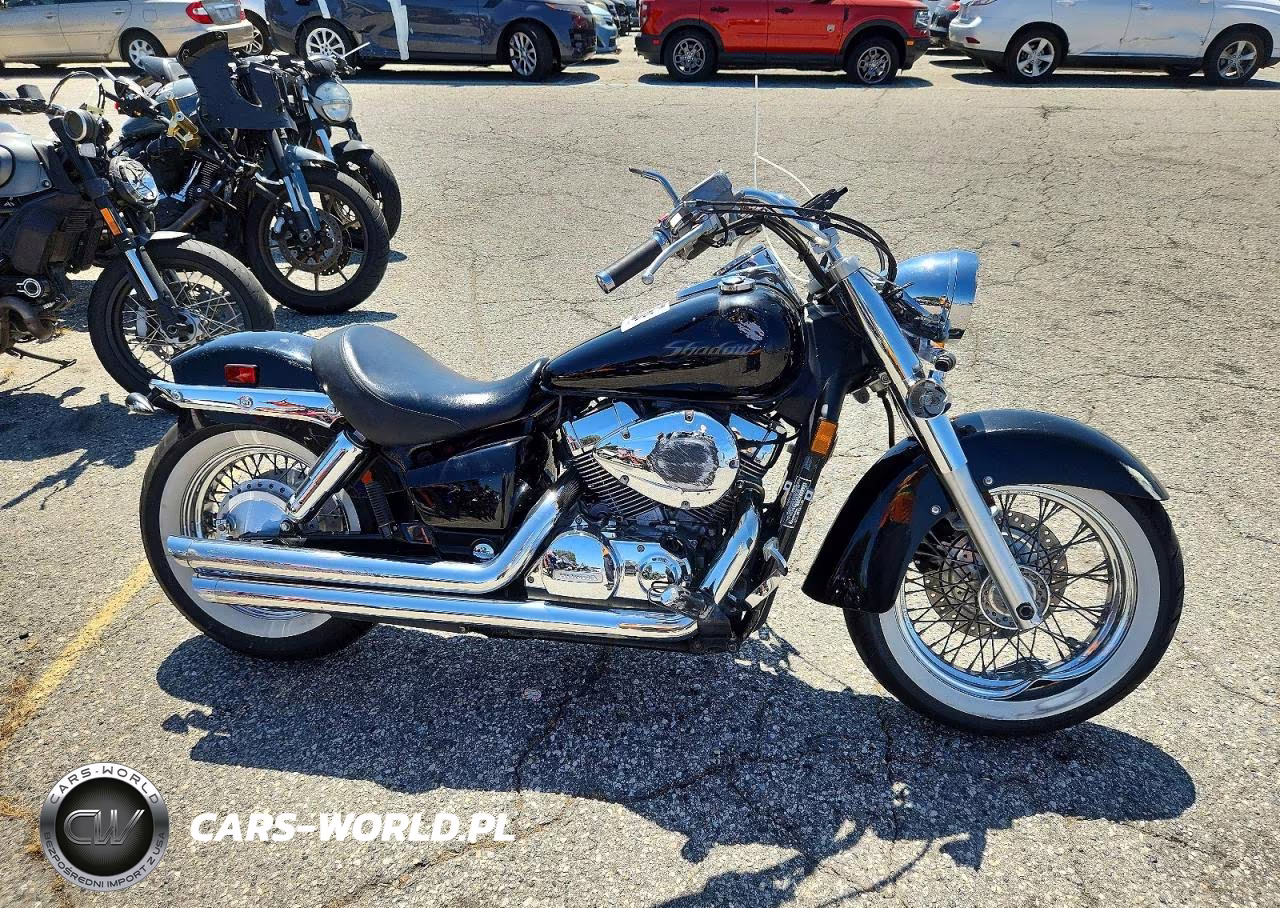 2006 Honda Vt750 C