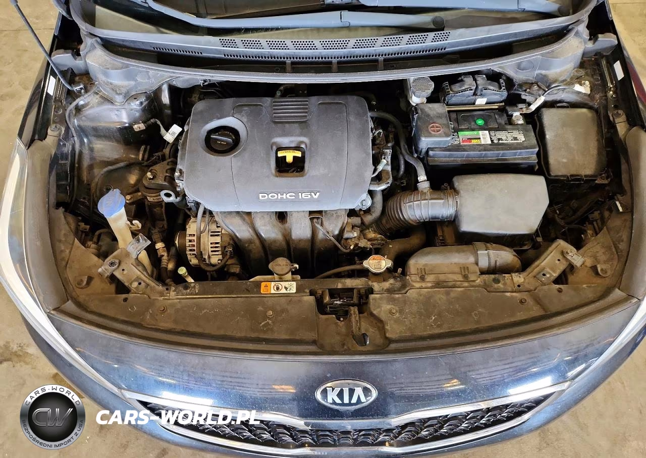 2017 Kia Forte Lx VIN:3KPFK4A78HE143238 - 11