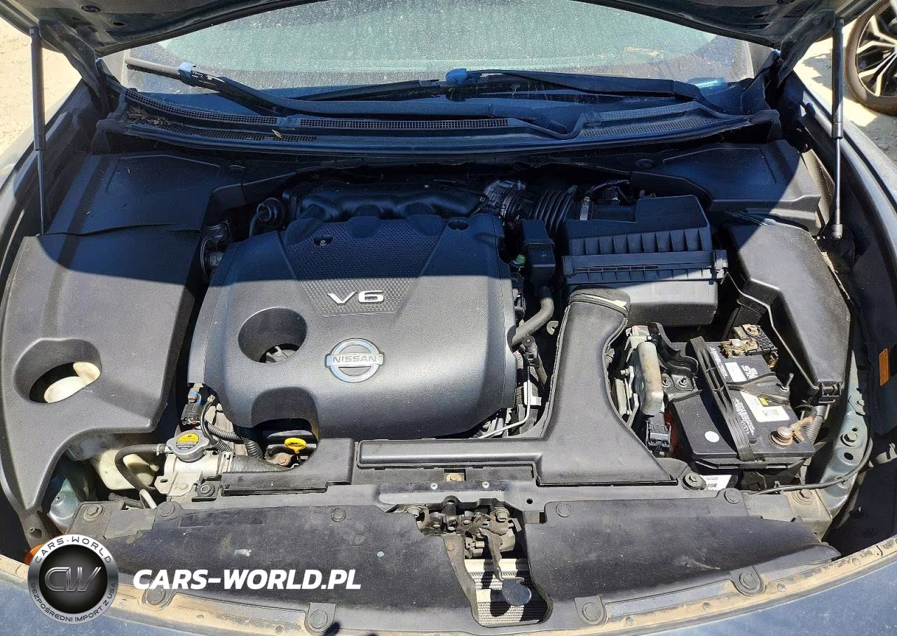 2009 Nissan Maxima 3.5 S VIN:1N4AA51E39C833222 - 11