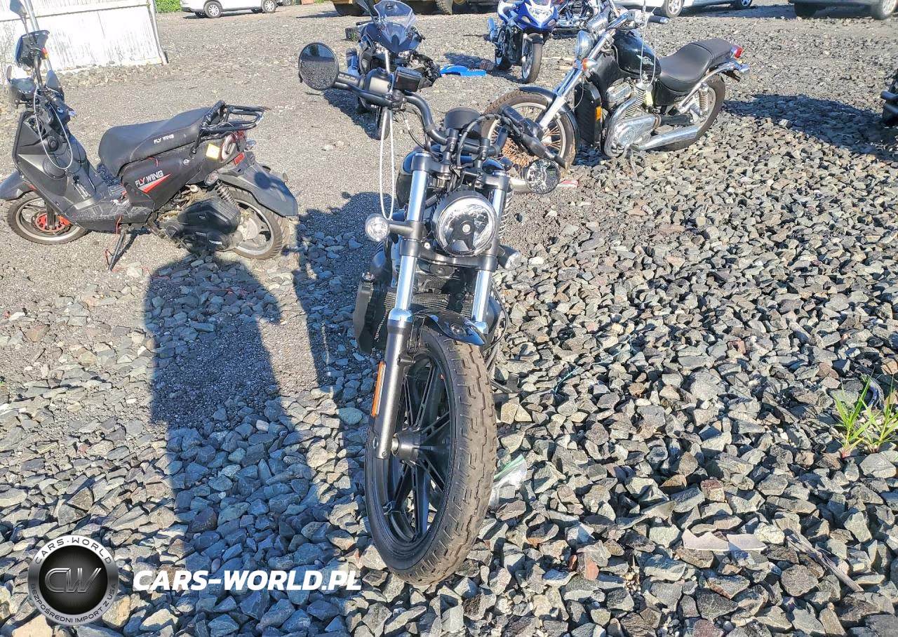 2023 Harley-Davidson Rh975 VIN:1HD1ZH111PB317797 - 2