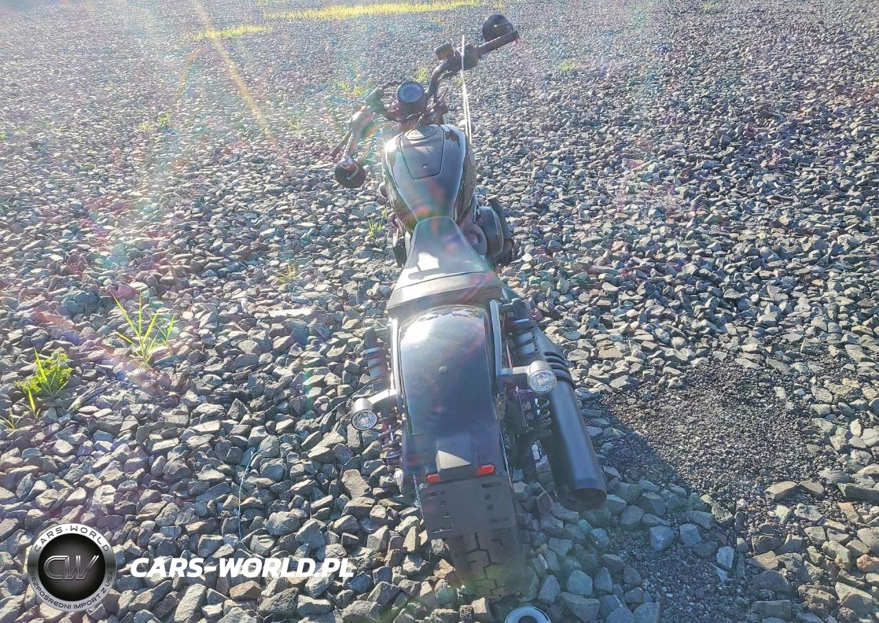 2023 Harley-Davidson Rh975 VIN:1HD1ZH111PB317797 - 4