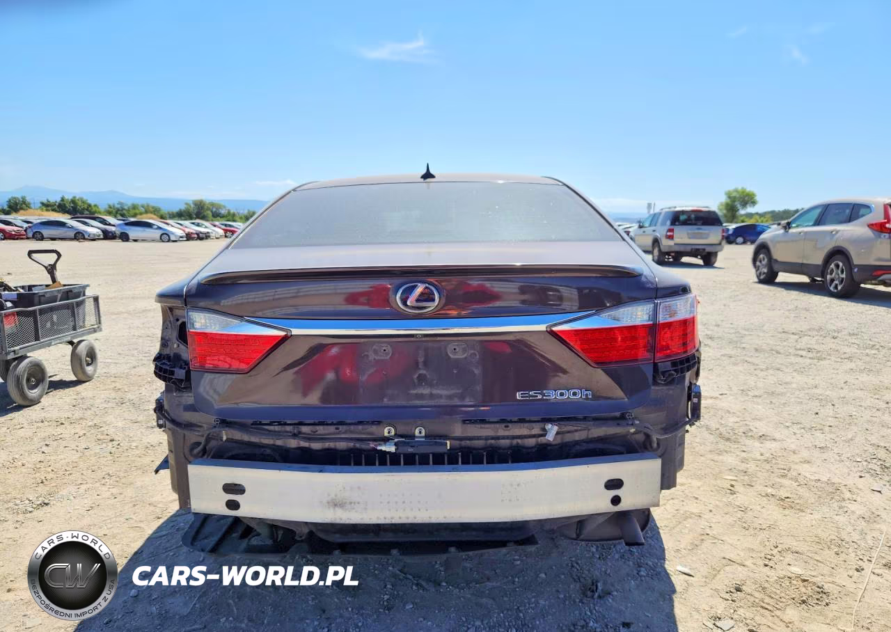2014 Lexus Es 300H VIN:JTHBW1GG8E2045939 - 6