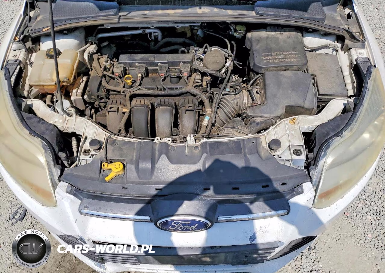 2014 Ford Focus Se VIN:1FADP3F27EL110840 - 11