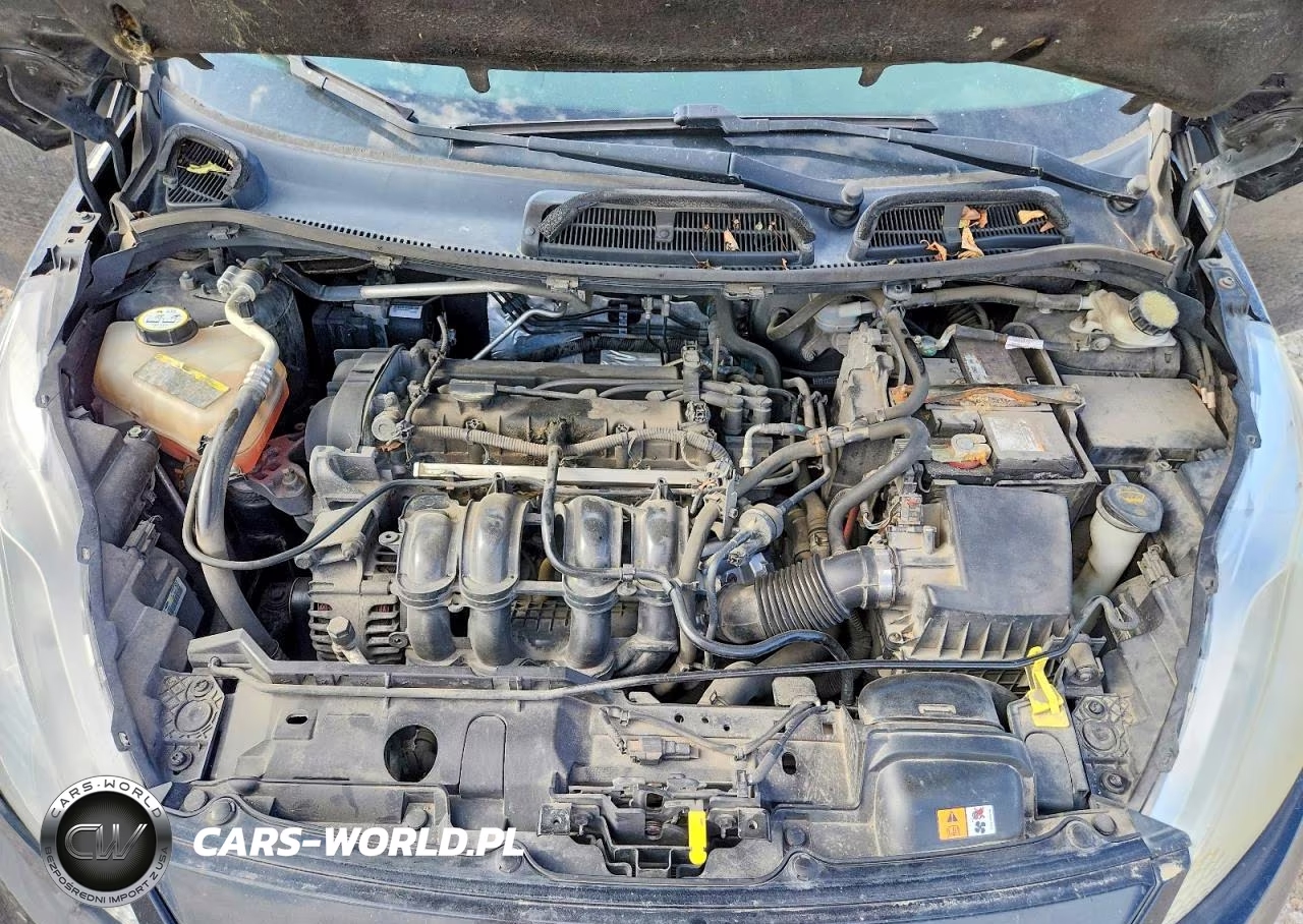 2013 Ford Fiesta Se VIN:3FADP4EJ4DM116798 - 11