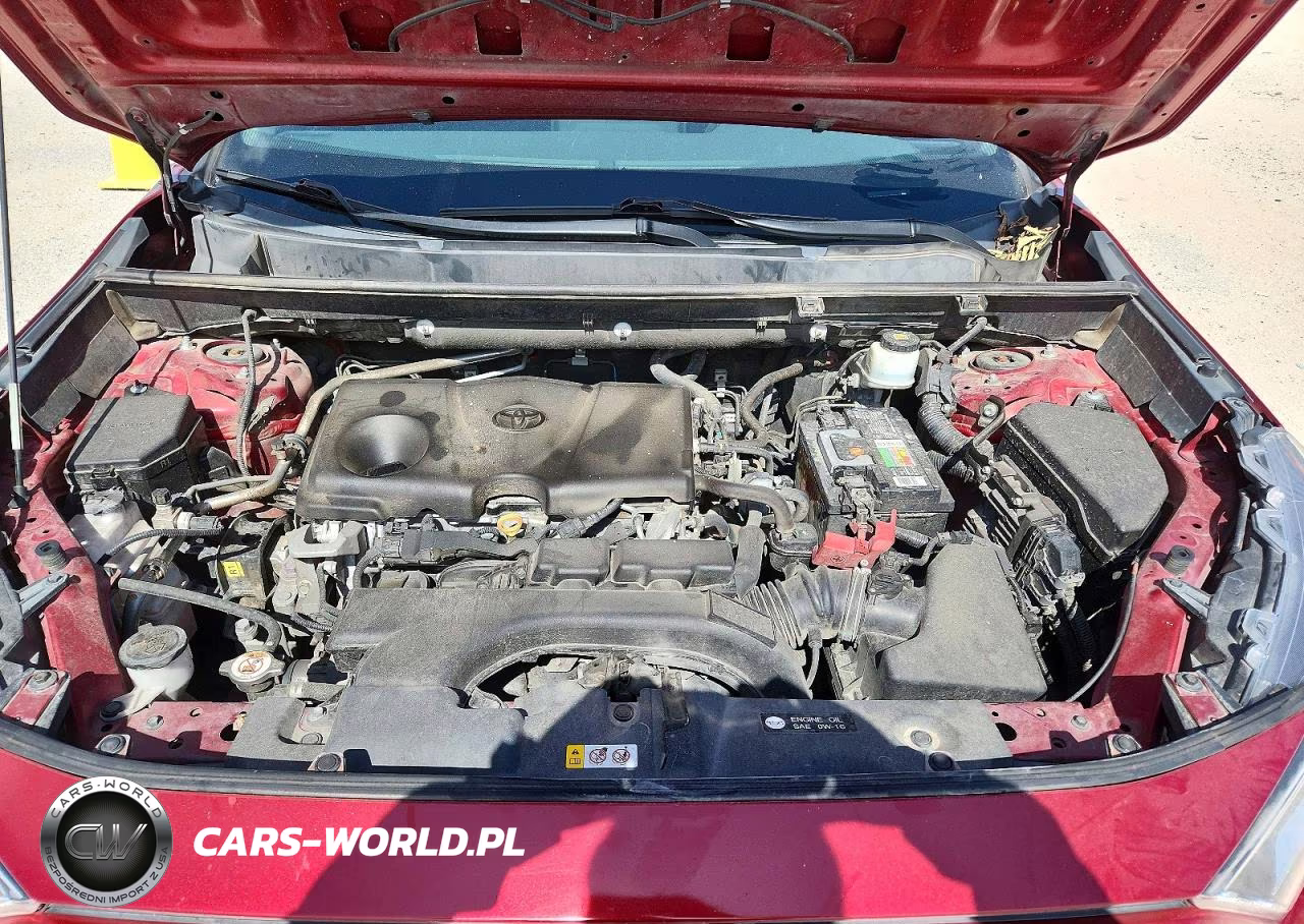 2019 Toyota Rav4 Xle VIN:2T3W1RFV1KW009917 - 11