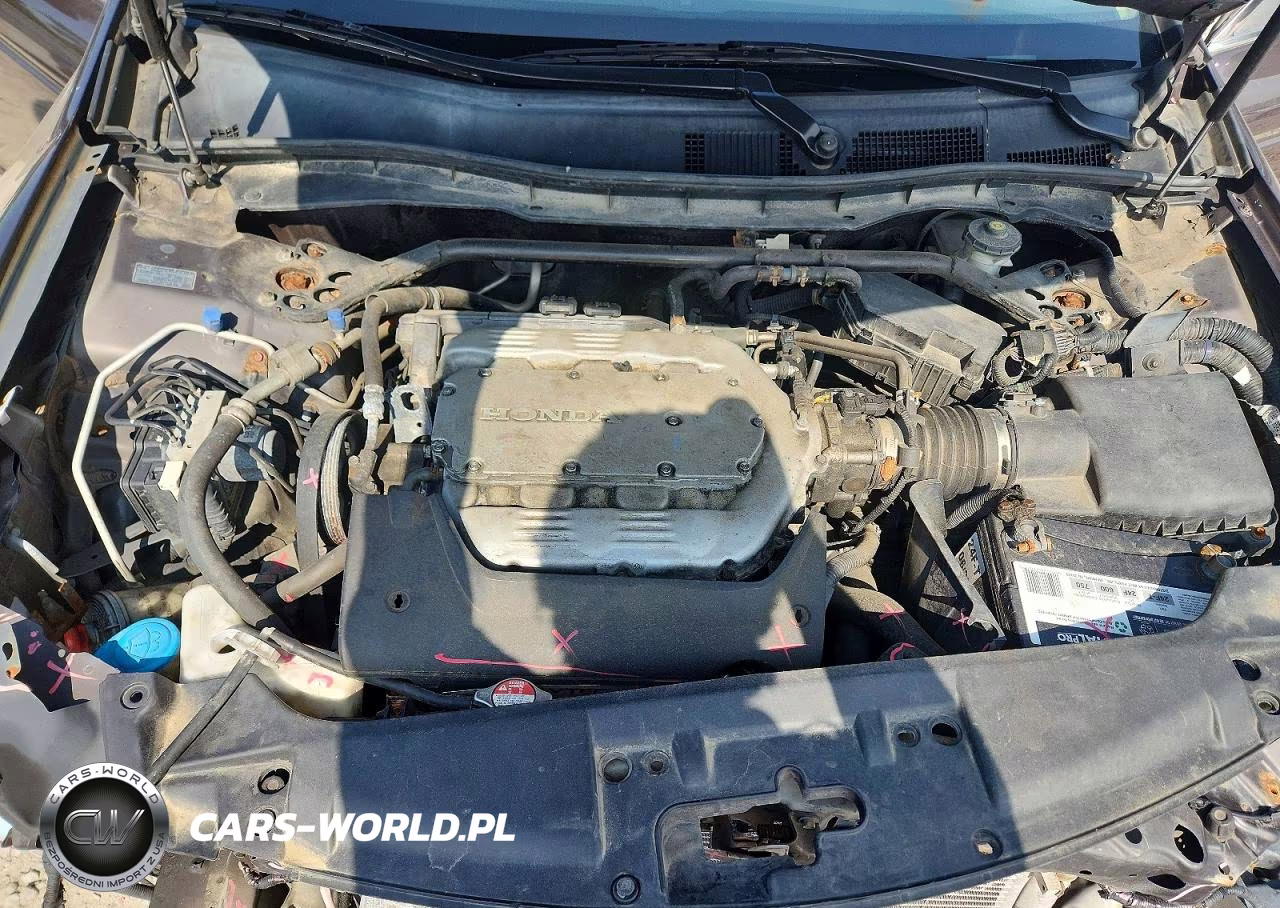 2011 Honda Accord Exl VIN:1HGCP3F88BA014959 - 11