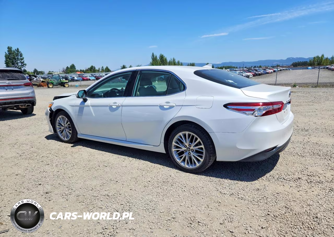 2019 Toyota Camry Xle VIN:4T1B11HK8KU684191 - 2