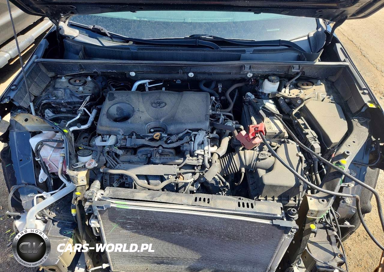 2019 Toyota Rav4 Le VIN:2T3G1RFV9KC001389 - 12