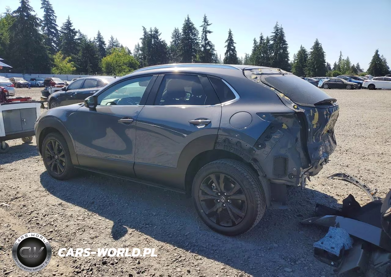 2021 Mazda Cx-30 VIN:3MVDMBAY0MM243220 - 2