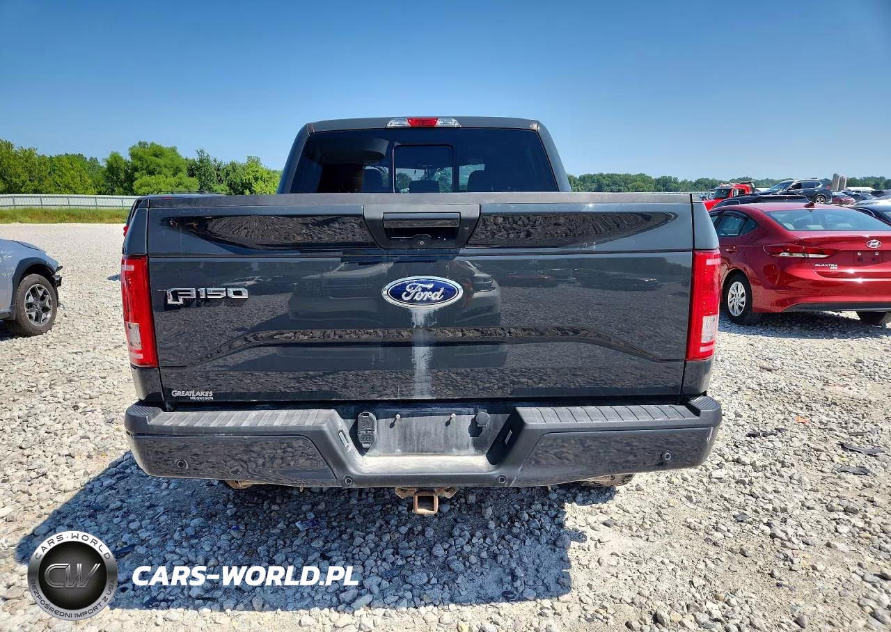 2016 Ford F150 Supercrew VIN:1FTEW1EG4GFC83445 - 6