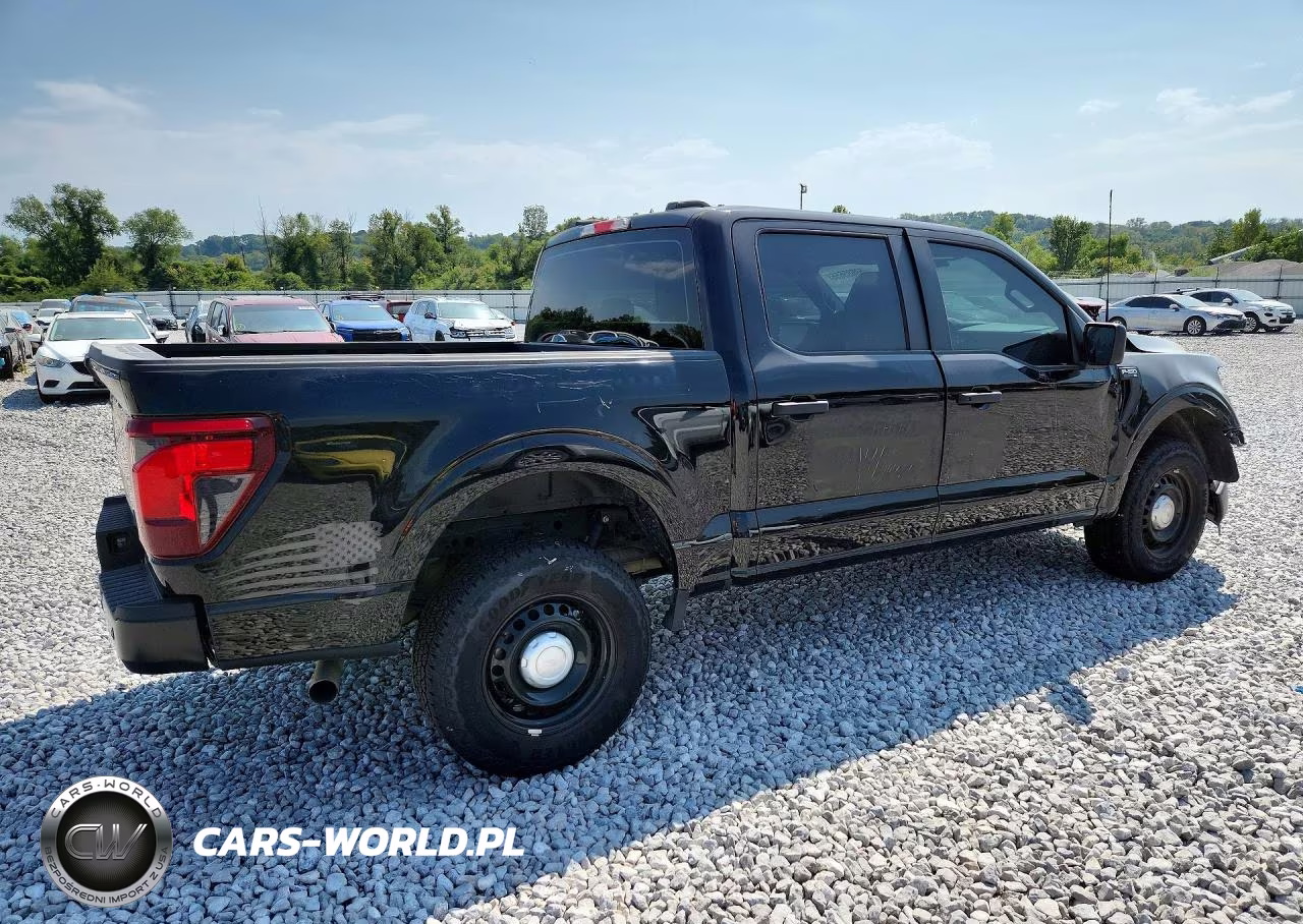 2025 Ford F150 Police Responder VIN:1FTFW1P80SKE63922 - 3