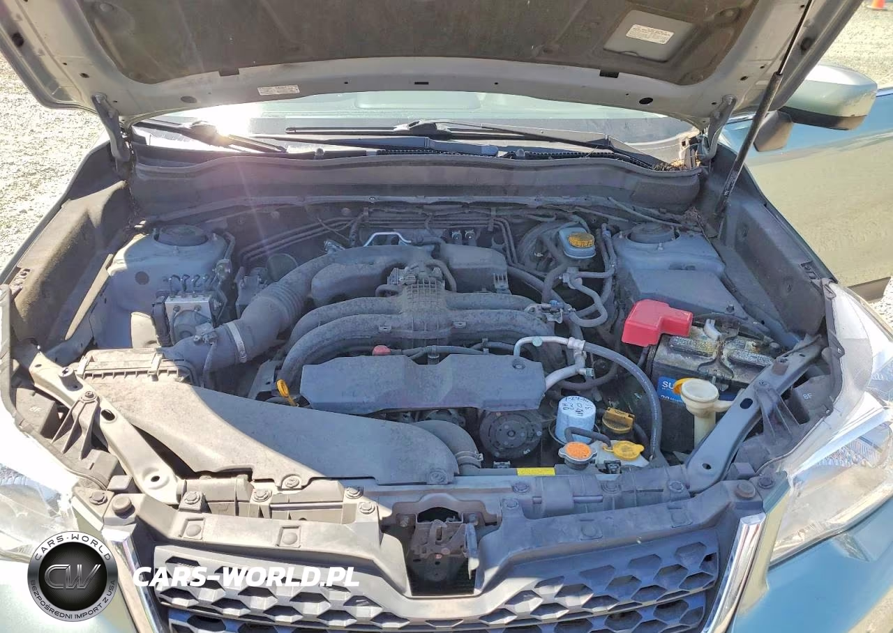 2015 Subaru Forester 2.5I Limited VIN:JF2SJAHC0FH804885 - 12