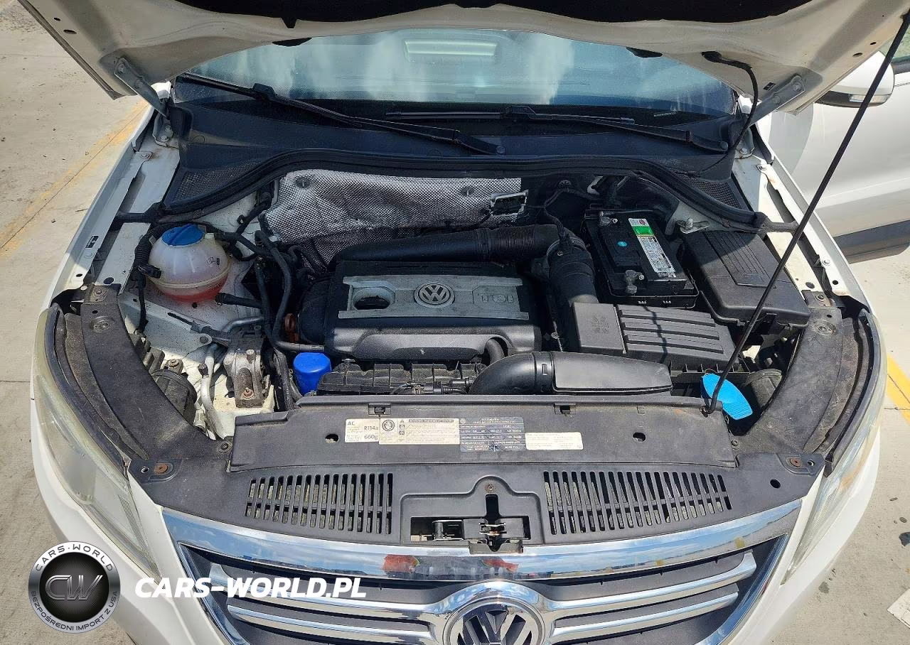 2011 Volkswagen Tiguan S VIN:WVGAV7AXXBW561313 - 12