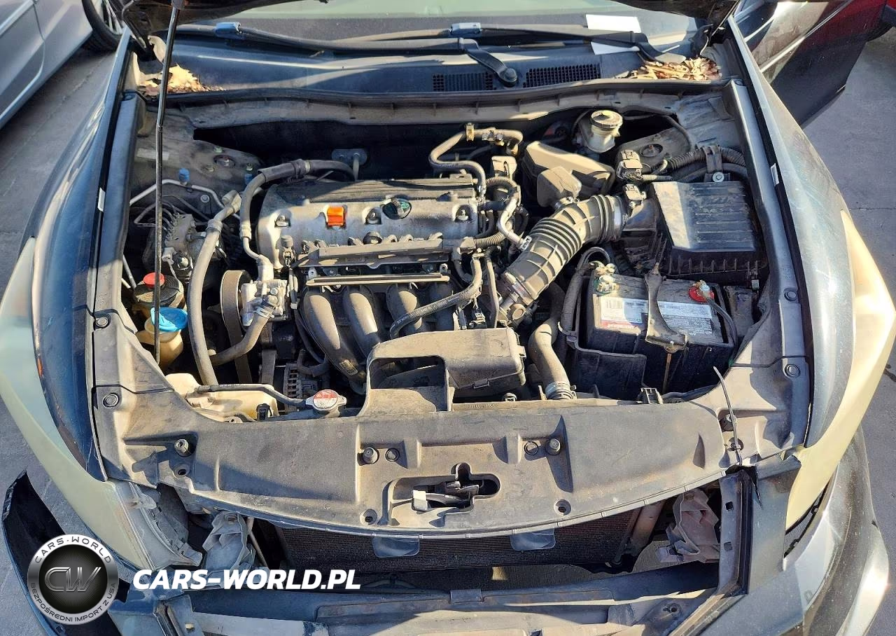 2010 Honda Accord Lx VIN:1HGCP2F39AA143807 - 11