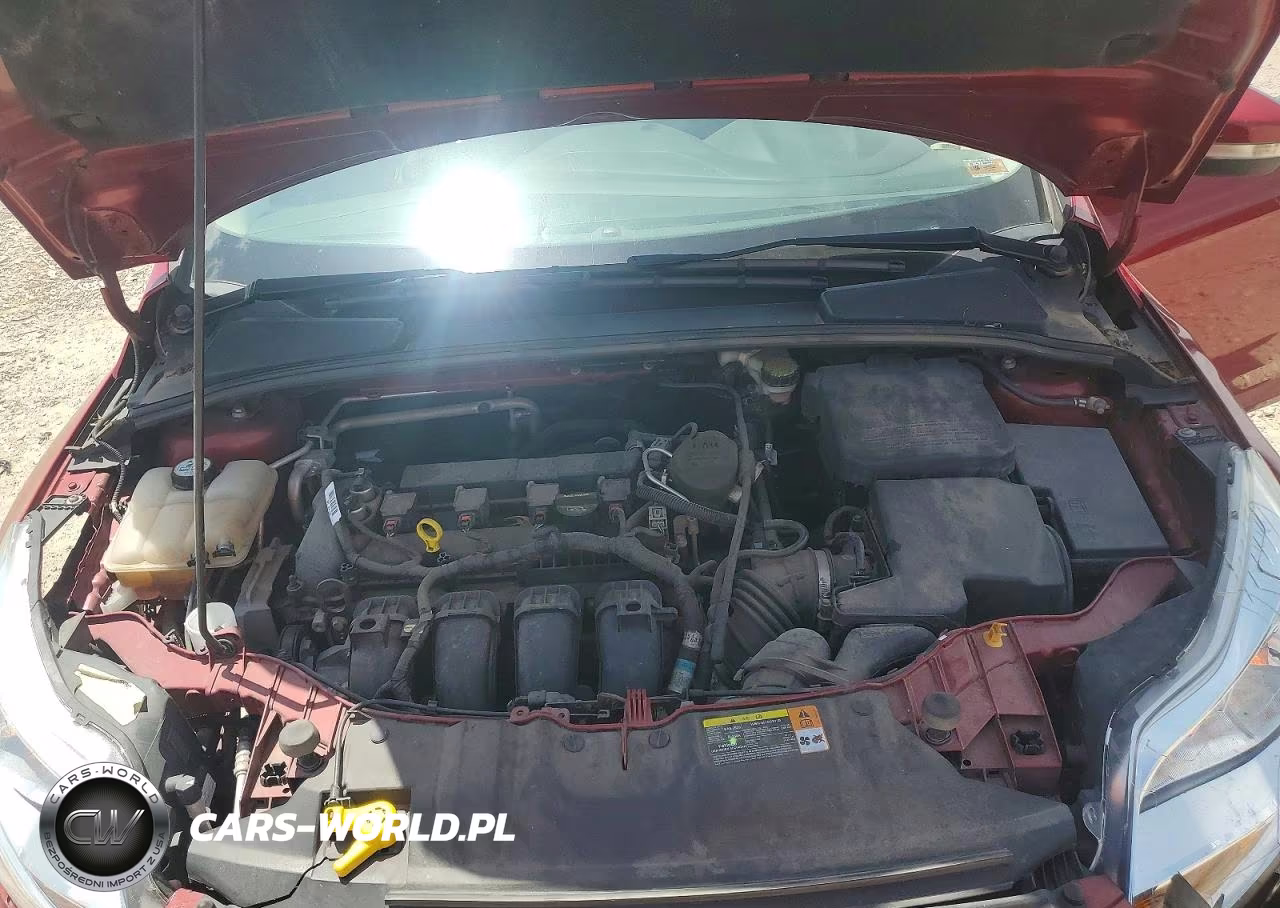 2013 Ford Focus Se VIN:1FADP3F24DL106324 - 11