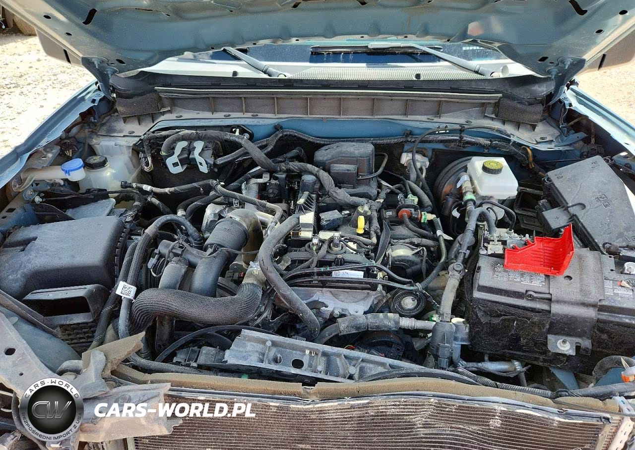 2023 Ford Bronco Base VIN:1FMEE5DH7PLB09905 - 11