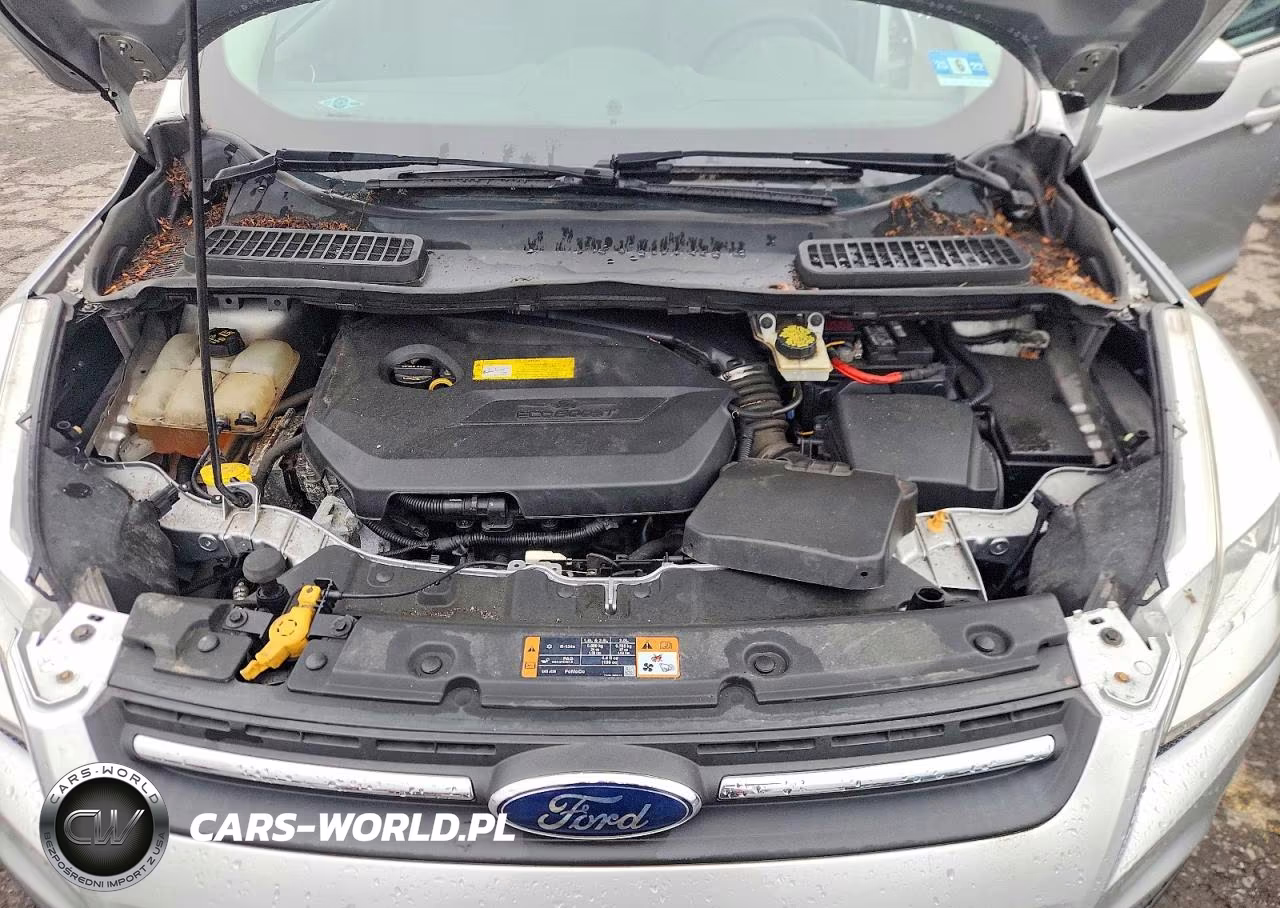 2015 Ford Escape Se VIN:1FMCU9GX0FUB96964 - 12