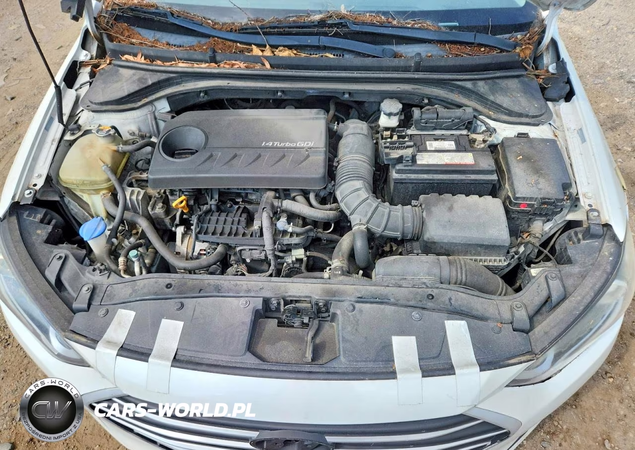 2017 Hyundai Elantra Eco VIN:5NPD94LA9HH177180 - 11