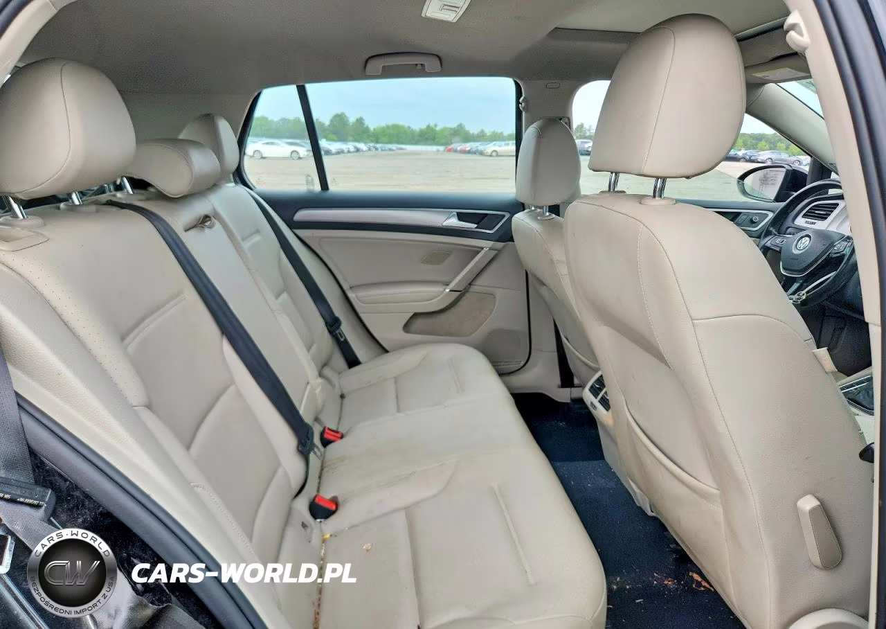 2016 Volkswagen Golf S-Se-Sel VIN:3VW217AU2GM007729 - 10