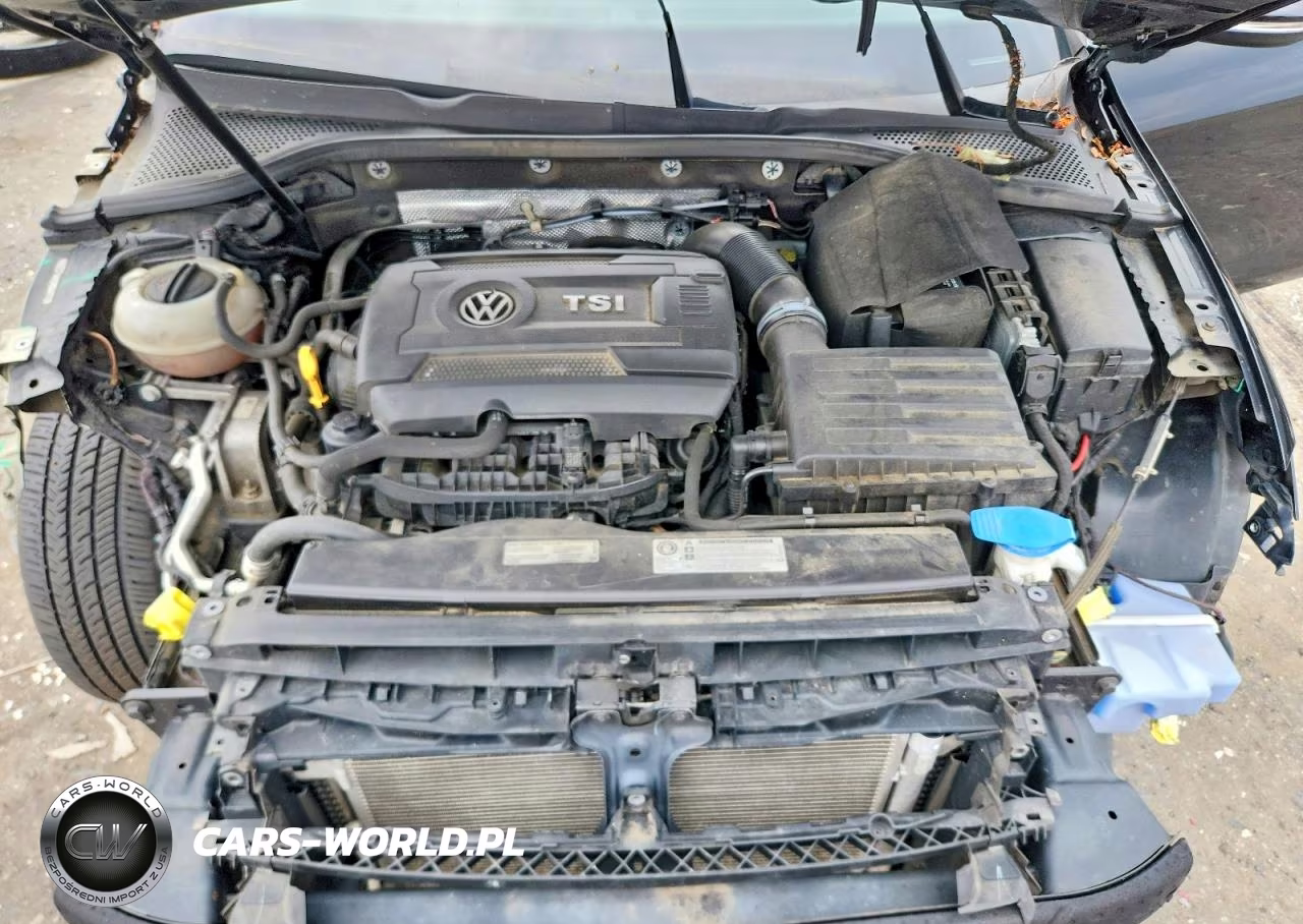 2016 Volkswagen Golf S-Se-Sel VIN:3VW217AU2GM007729 - 11