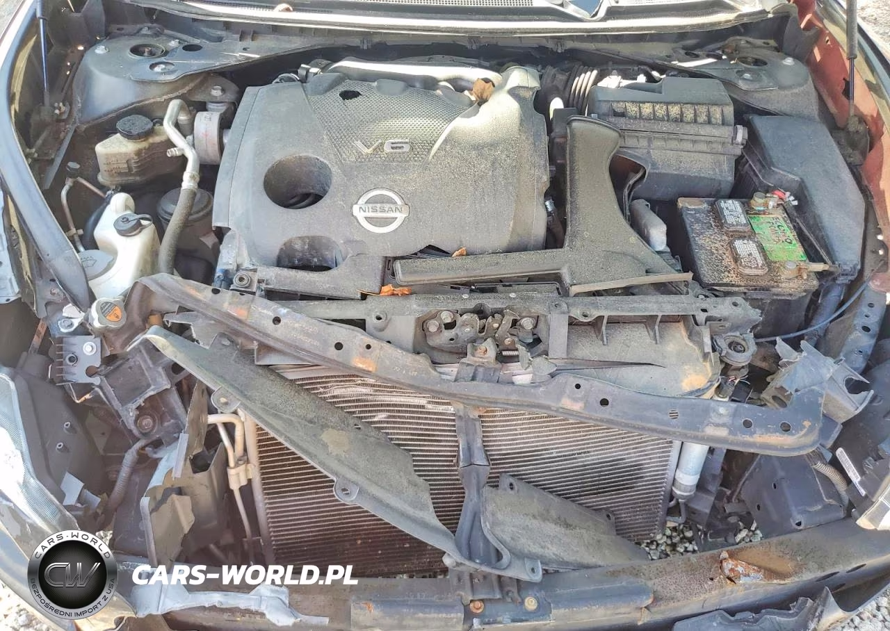 NISSAN MAXIMA VIN:1N4AA5AP8AC855447 - 11