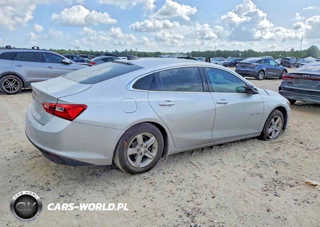 2019 Chevrolet Malibu Ls VIN:1G1ZB5ST7KF223926 - 3