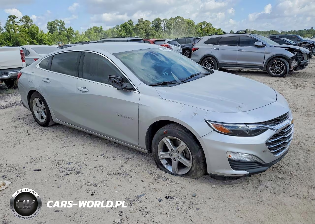 2019 Chevrolet Malibu Ls VIN:1G1ZB5ST7KF223926 - 4