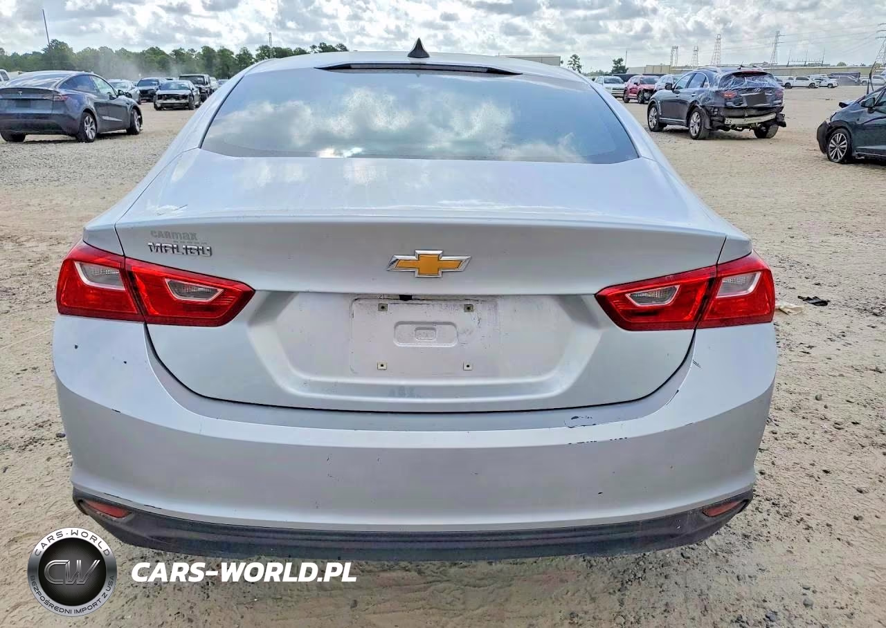 2019 Chevrolet Malibu Ls VIN:1G1ZB5ST7KF223926 - 6