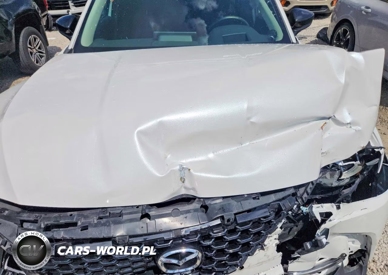 2024 Mazda Cx-50 Premium Plus VIN:7MMVABEY8RN184777 - 12