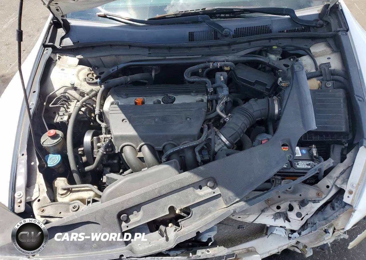 2009 Honda Accord Lx VIN:1HGCS12399A013715 - 11