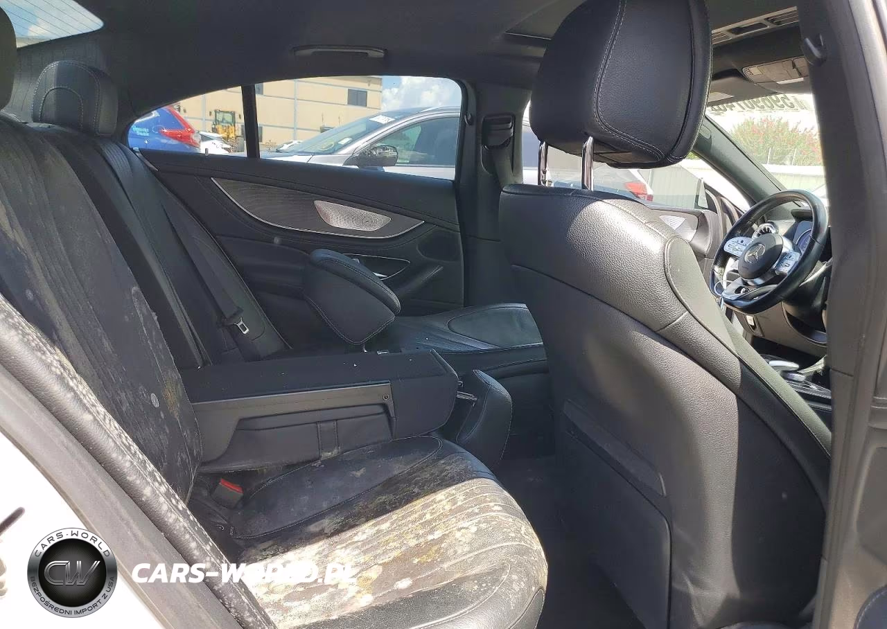 2019 Mercedes-Benz Cls 450 VIN:WDD2J5JB8KA012449 - 10