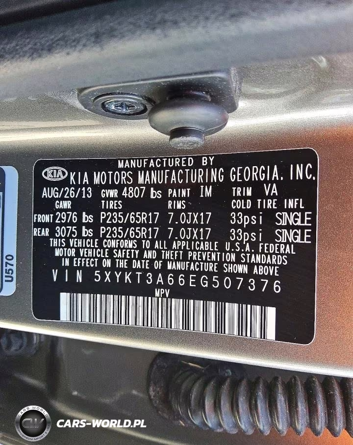 2014 Kia Sorento Lx VIN:5XYKT3A66EG507376 - 12