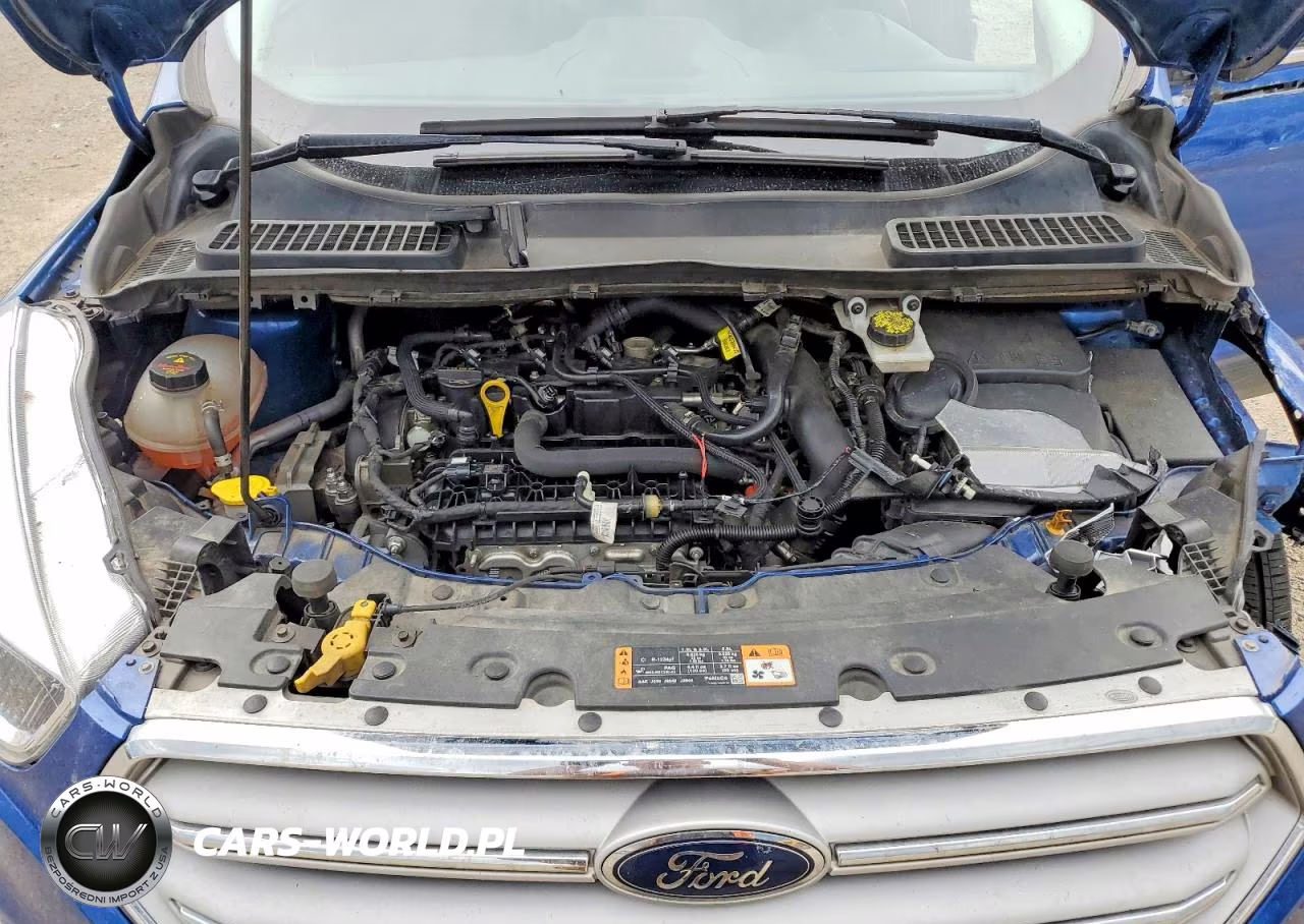 2019 Ford Escape Se VIN:1FMCU9GD2KUB09078 - 11