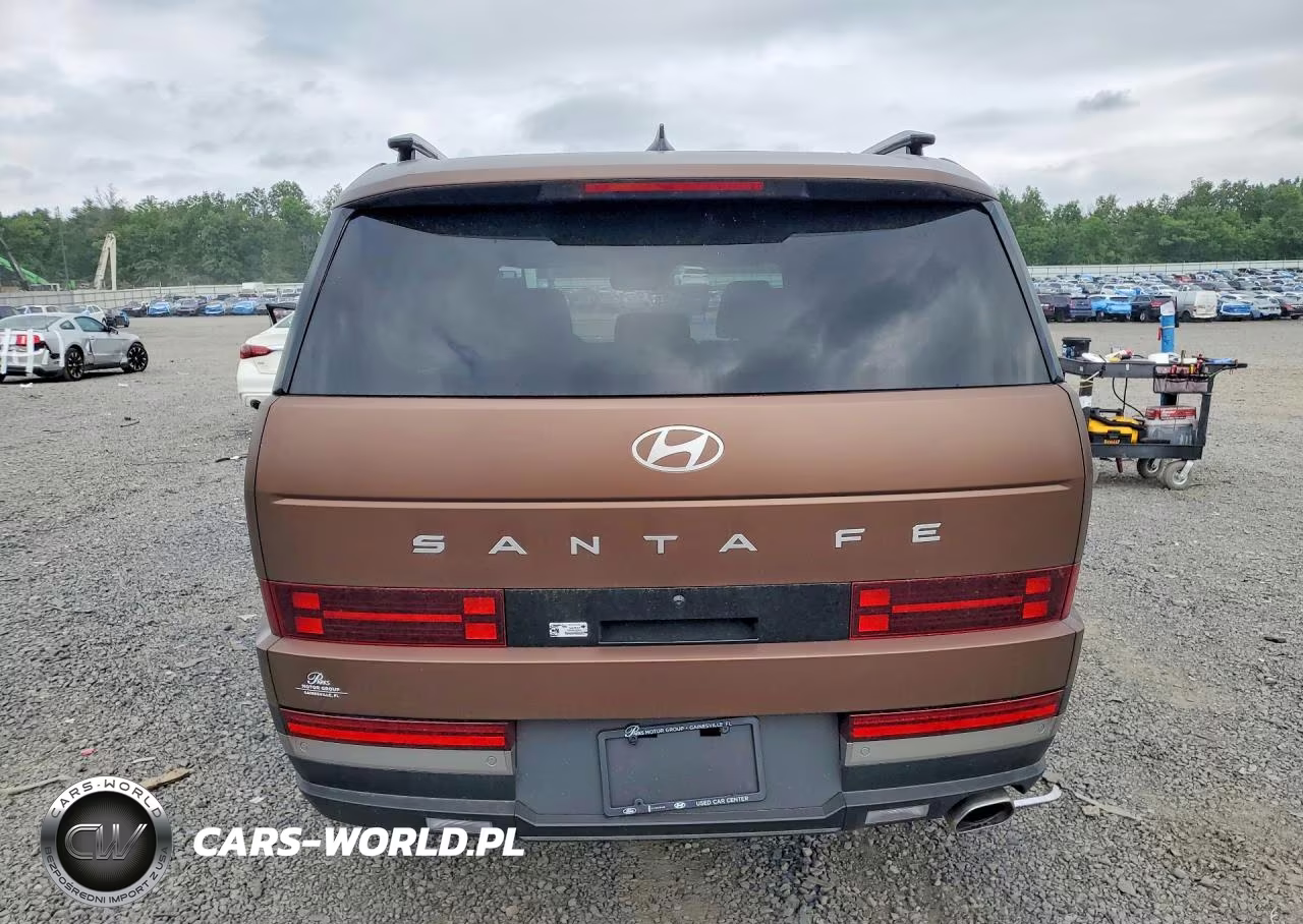 2025 Hyundai Santa Fe Limited VIN:5NMP44GL1SH121696 - 6