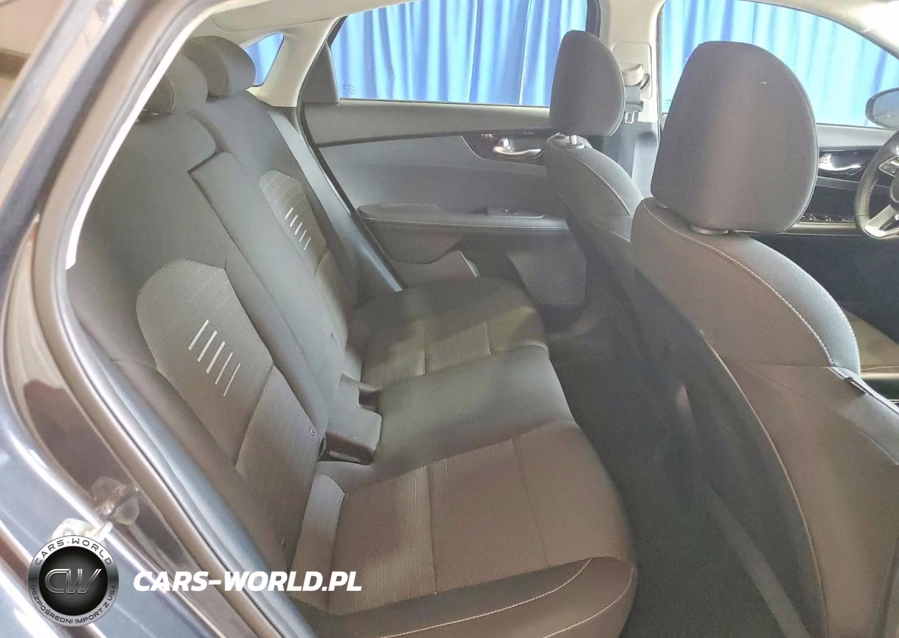 2019 Kia Forte S VIN:3KPF34AD8KE072696 - 10