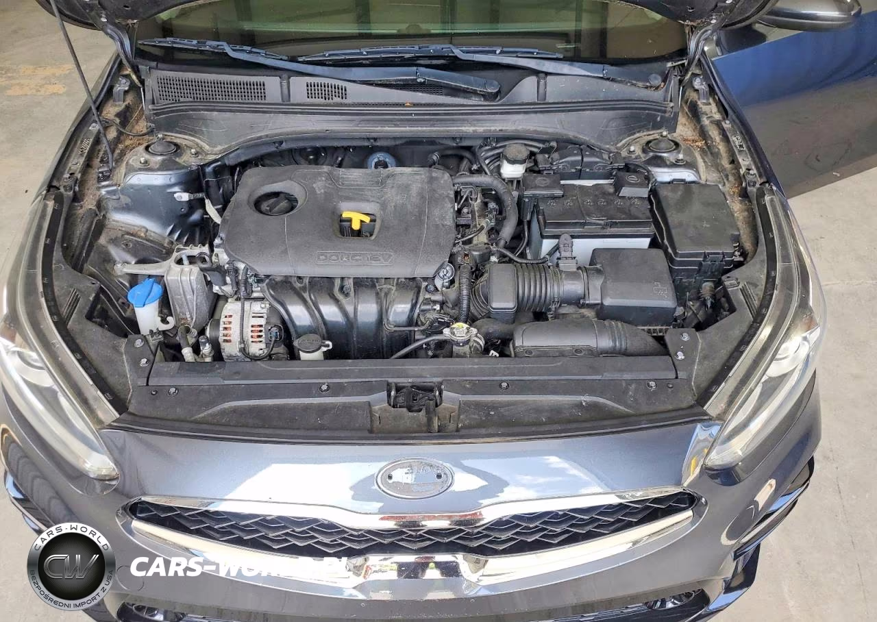 2019 Kia Forte S VIN:3KPF34AD8KE072696 - 11