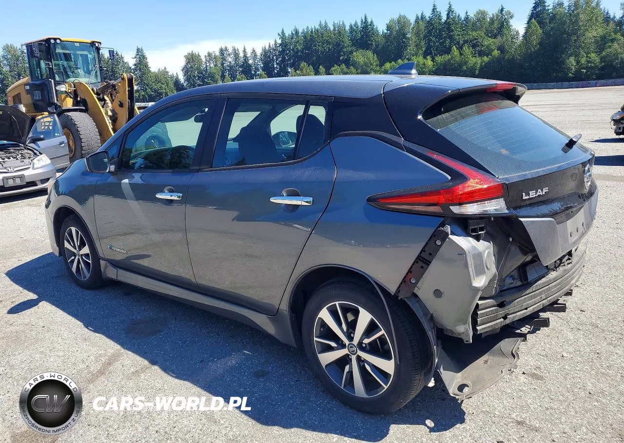 2019 Nissan Leaf S Plus VIN:1N4BZ1CP7KC317276 - 2