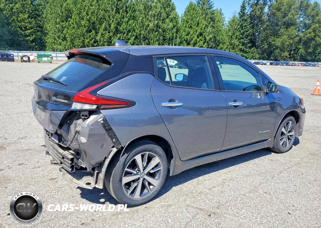 2019 Nissan Leaf S Plus VIN:1N4BZ1CP7KC317276 - 3