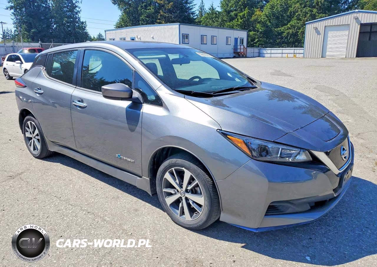 2019 Nissan Leaf S Plus VIN:1N4BZ1CP7KC317276 - 4